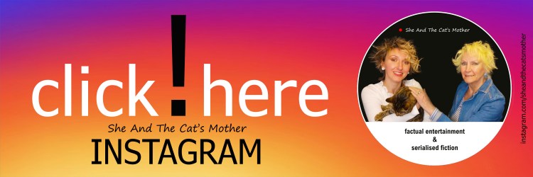 Colourful long horizontal banner/header highlighting book publisher, She And The Cat's Mother Instagram site