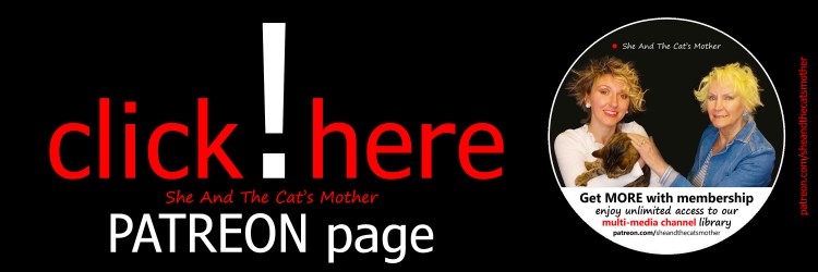 Colourful long horizontal banner/header highlighting book publisher, She And The Cat's Mother Patreon page