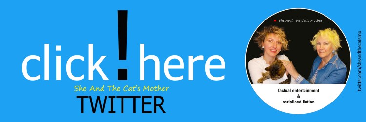 Colourful long horizontal banner/header highlighting book publisher, She And The Cat's Mother Twitter account