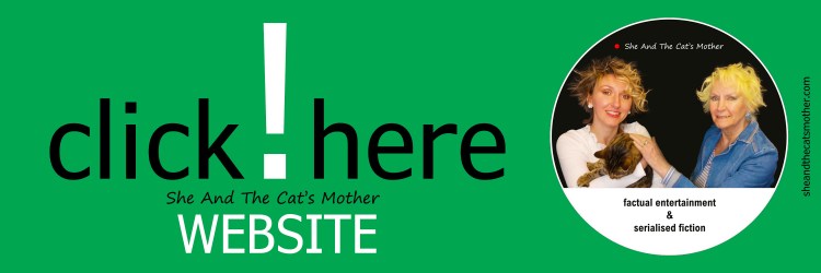 Colourful long horizontal banner/header highlighting, She And The Cat's Mother book publisher website