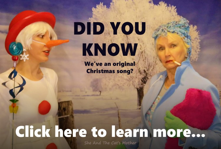 Image shows mother and daughter, Gwen Hullah and Ida Barker of She And The Cat's Mother stood in a winter scene outside, Ida's dressed as a snowman, Gwen as a pedestrian with a curious expression on her face. Text on image states: DID YOU KNOW we’ve an original Christmas song? click here to learn more.